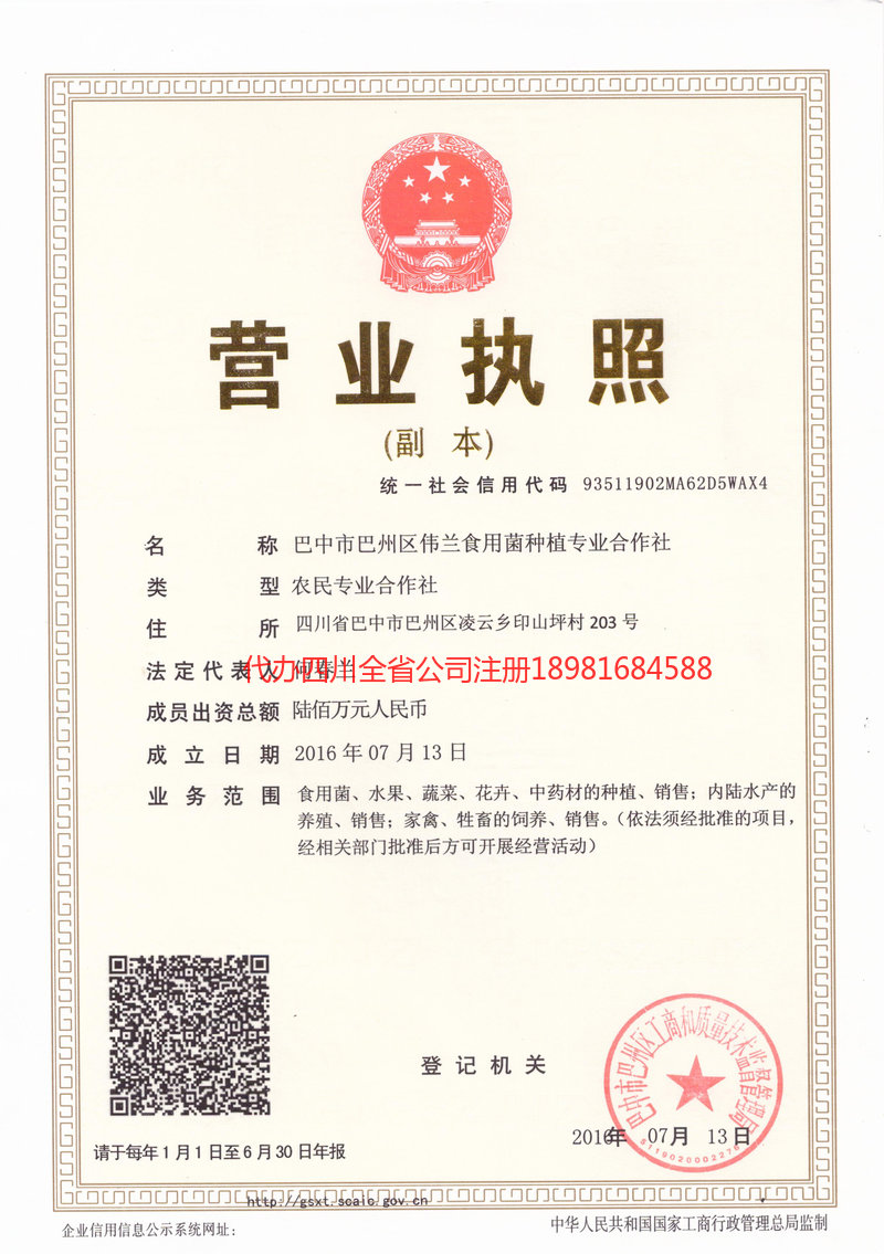 凤城凤城伟兰食用菌种植专业合作社